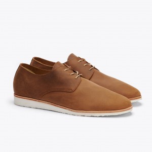 Brown Men's Nisolo Lightweight Flex Derby Slip Ons | 027853-WYE