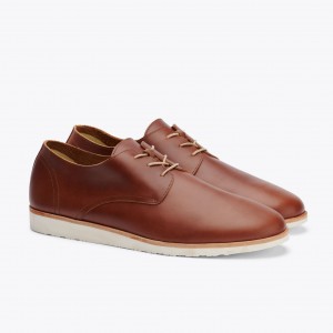 Brown Men's Nisolo Lightweight Flex Derby Slip Ons | 781905-MNA