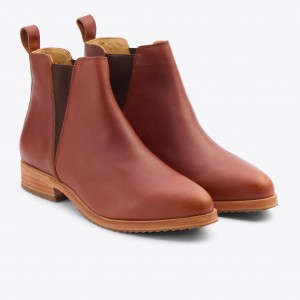 Brown Women's Nisolo Classic Chelsea Boots | 159402-OFX