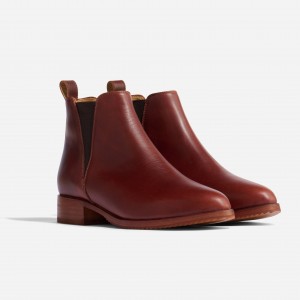 Brown Women's Nisolo Eva Everyday Chelsea Boots | 026937-KWO