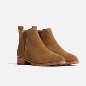 Grey Brown Women's Nisolo Eva Everyday Chelsea Boots | 051938-THA