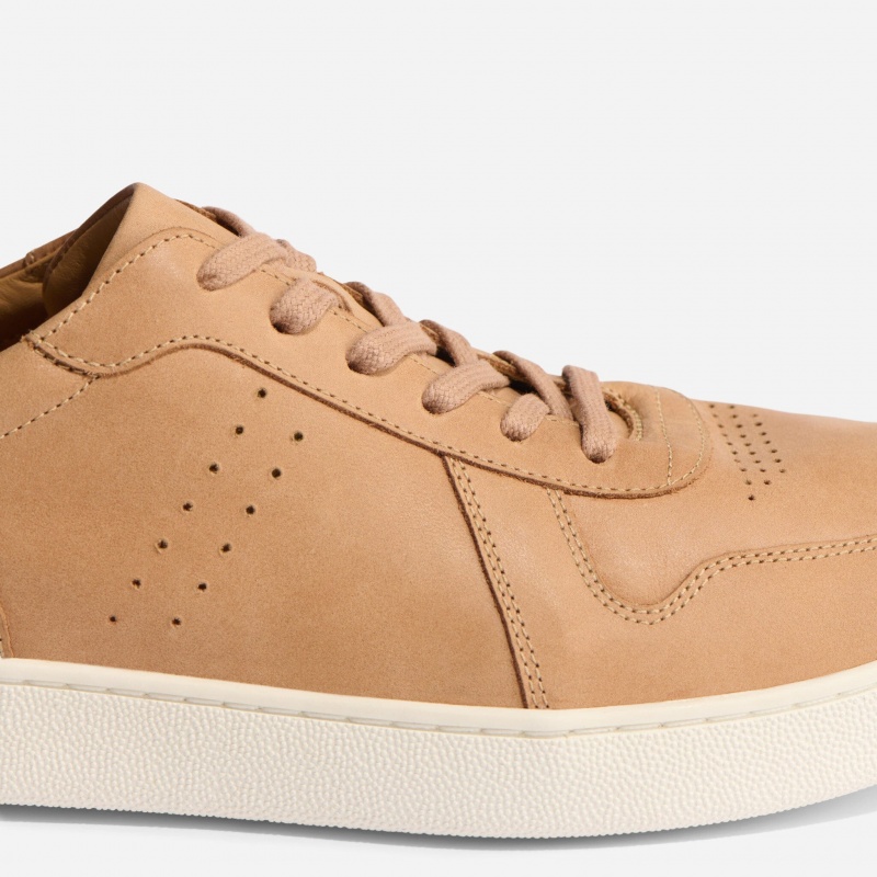 Brown Men's Nisolo Beto Go-To Court Sneakers | 906213-ZTF