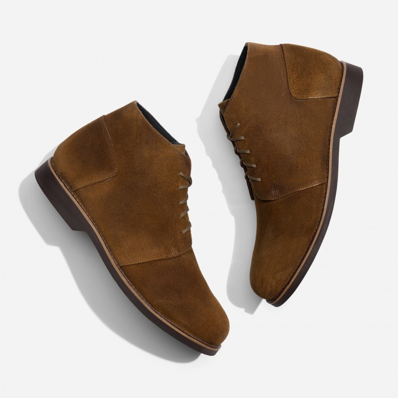 Brown Men's Nisolo Daytripper Chukka Boots | 947130-JNE