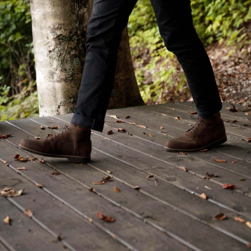 Brown Men's Nisolo Daytripper Chukka Boots | 947130-JNE