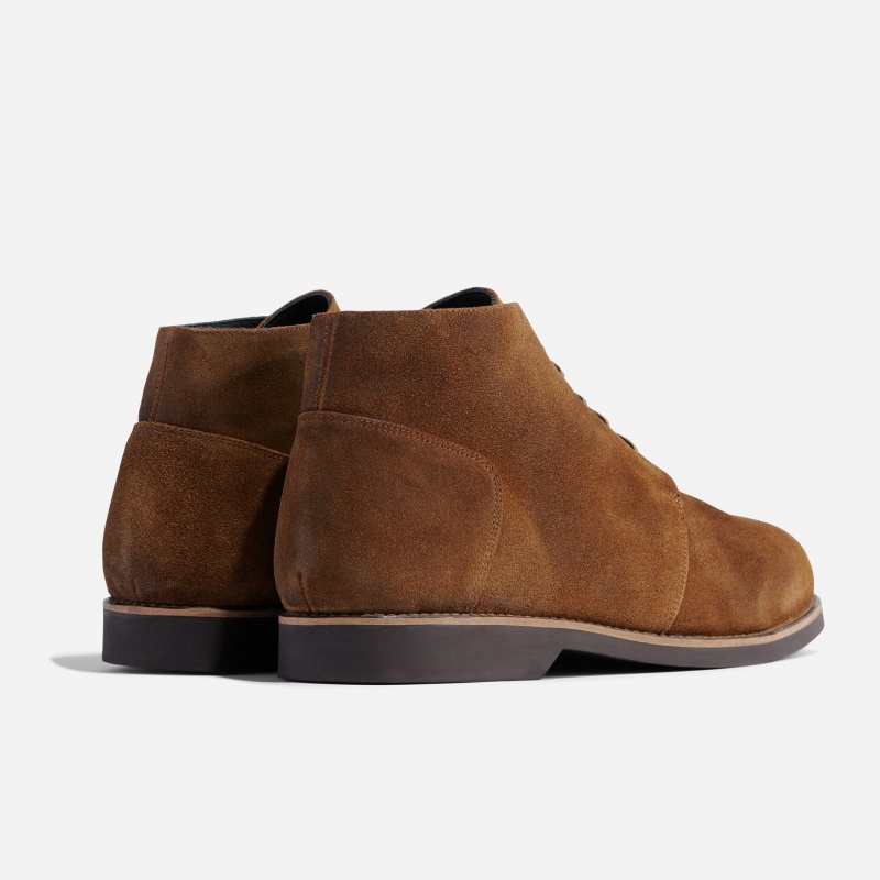 Brown Men's Nisolo Daytripper Chukka Boots | 947130-JNE