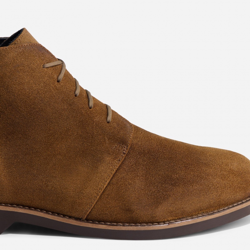 Brown Men's Nisolo Daytripper Chukka Boots | 947130-JNE