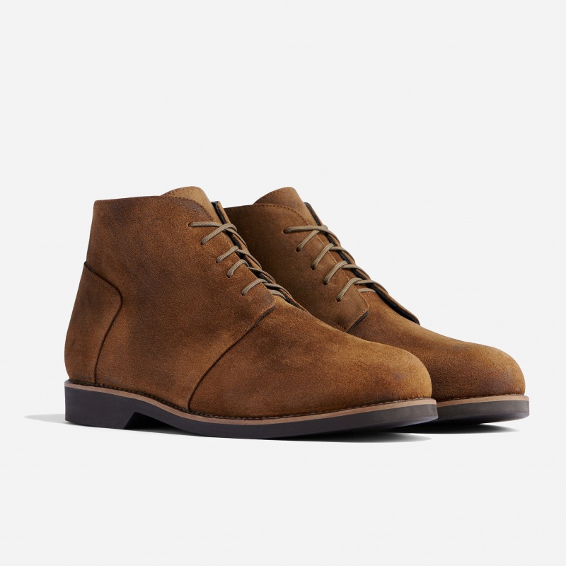 Brown Men\'s Nisolo Daytripper Chukka Boots | 947130-JNE