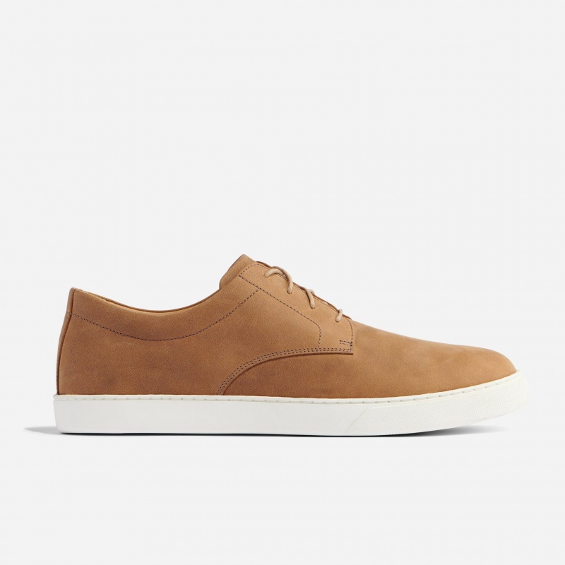 Brown Men's Nisolo Diego Everyday Sneakers | 940875-FJE