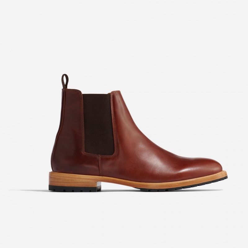 Brown Men's Nisolo Marco Everyday Chelsea Boots | 931257-OKY