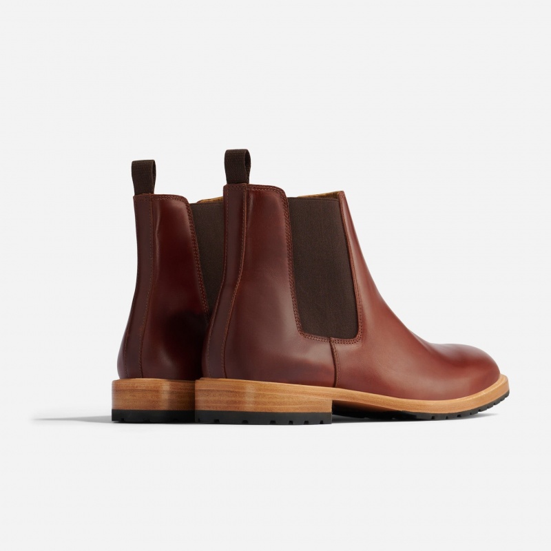 Brown Men's Nisolo Marco Everyday Chelsea Boots | 931257-OKY