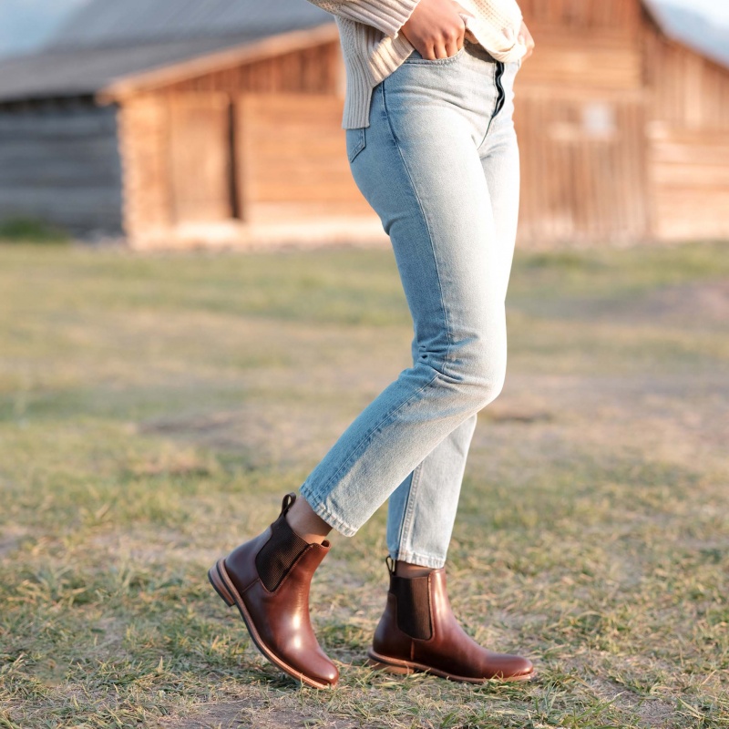 Brown Women's Nisolo Carmen Chelsea Boots | 498065-DHV