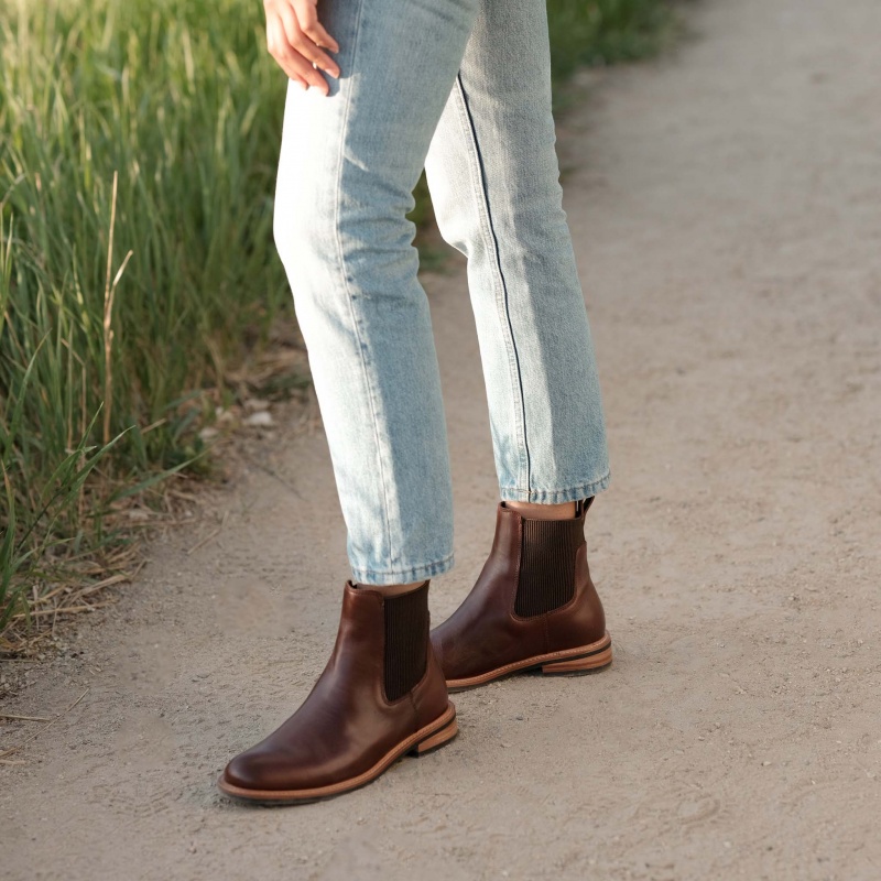 Brown Women's Nisolo Carmen Chelsea Boots | 498065-DHV