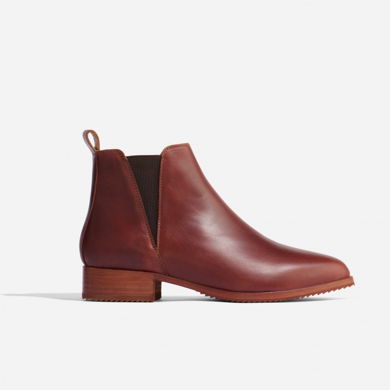 Brown Women's Nisolo Eva Everyday Chelsea Boots | 537024-NHW