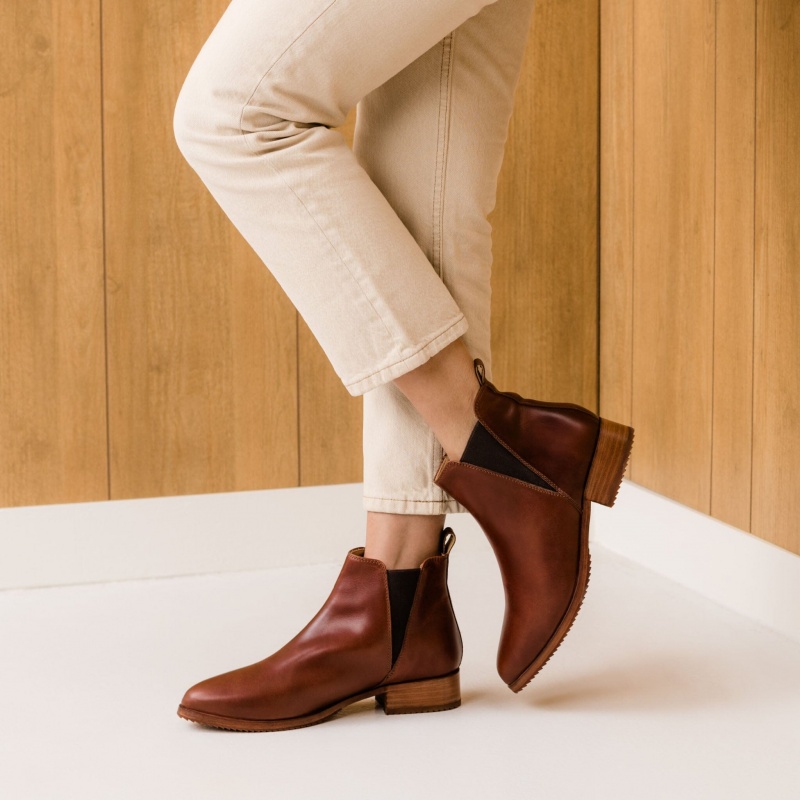 Brown Women's Nisolo Eva Everyday Chelsea Boots | 537024-NHW