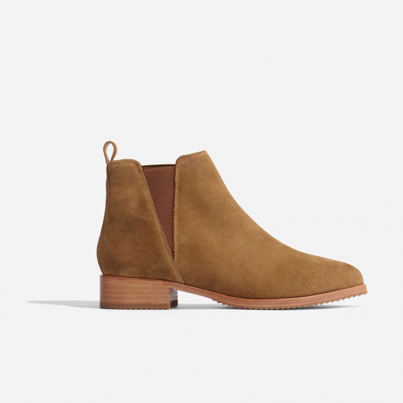 Grey Brown Women's Nisolo Eva Everyday Chelsea Boots | 051938-THA